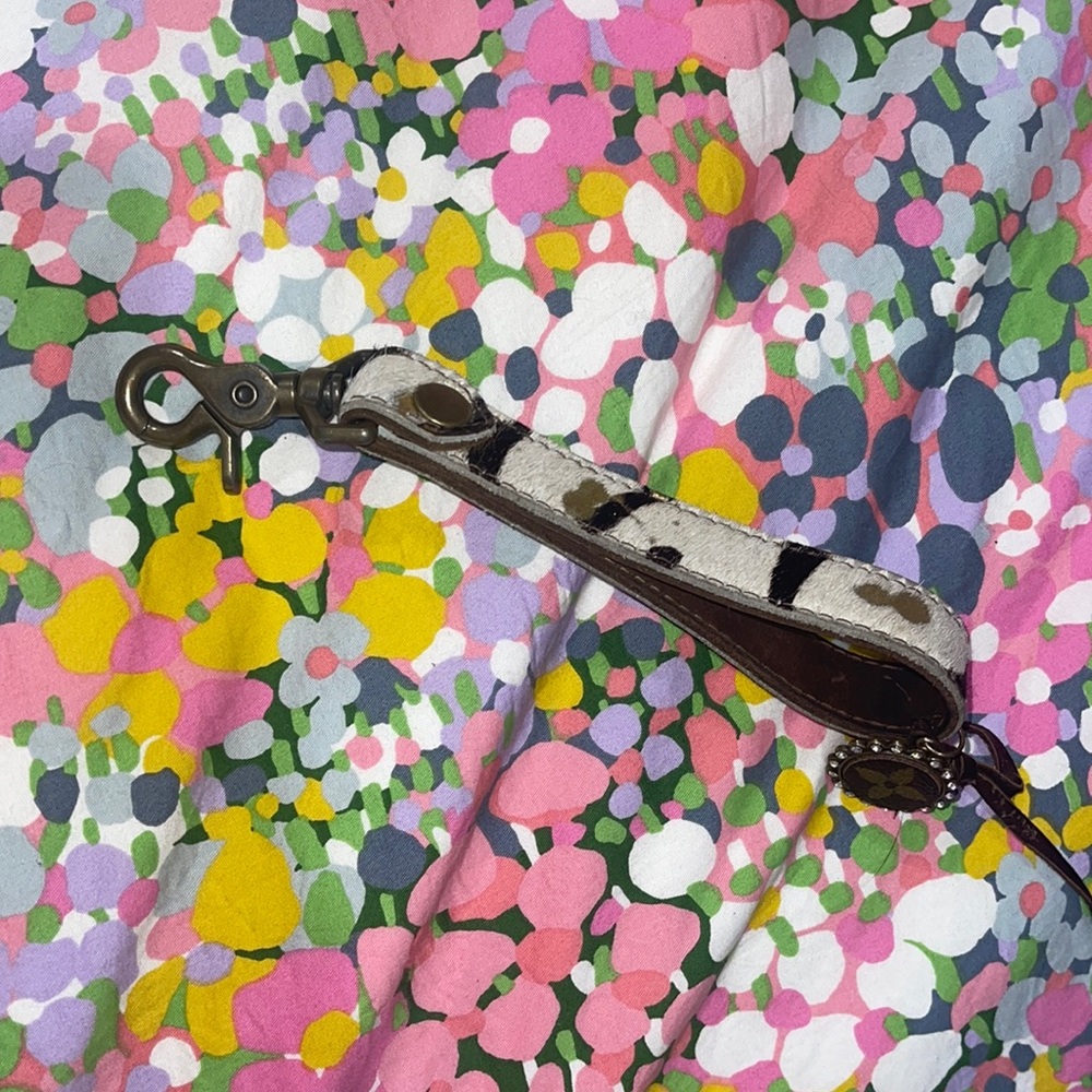 Louis boutique keychain